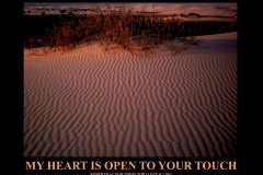 1_MYHEARISOPEN