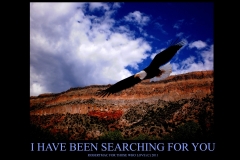 JEMEZEAGLESEARCHING